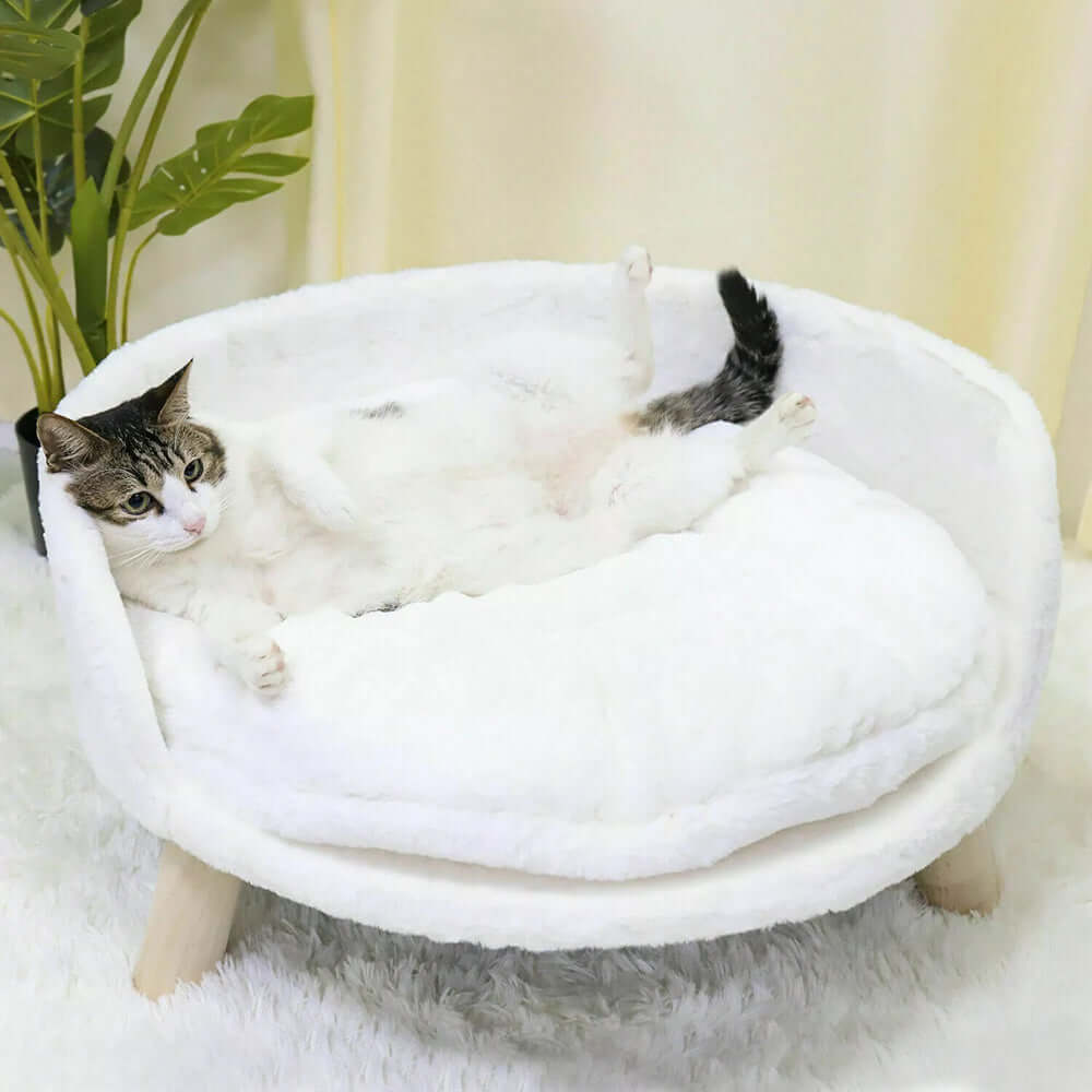 Cat Beds-That Pet Shop