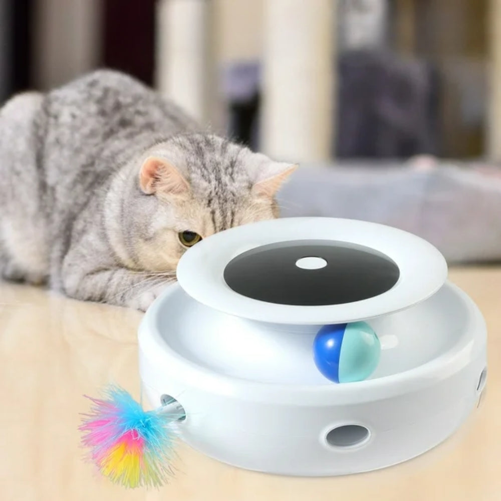 Cat Toys-That Pet Shop