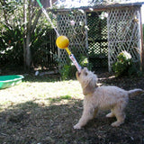 Aussie Dog Home Alone Small – Interactive Bungee Dog Toy