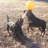 Aussie Dog Home Alone XL – Interactive Bungee Dog Toy