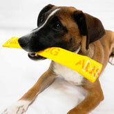 Aussie Dog Get‑It Small – Durable Floating Fetch Toy