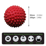 Aussie Dog Catch Ball Red