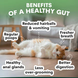 PetzPark Probiotic for Cats