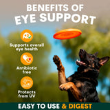PetzPark Eye Support for Dogs