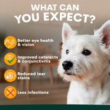 PetzPark Eye Support for Dogs