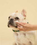 Squeaky - Probiotic Eye Wipes 20 pack