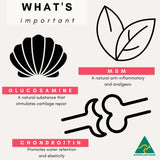 PetzPark Hip & Joint for Dogs