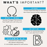 PetzPark Skin & Coat for Dogs