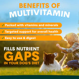 PetzPark Multivitamin For Dogs