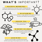 PetzPark Brain Support For Dogs