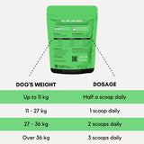 PetzPark Probiotic for Dogs