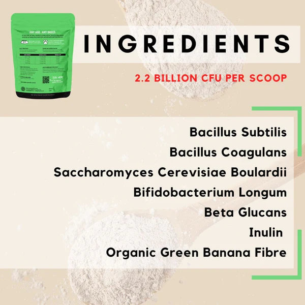 PetzPark Probiotic for Dogs
