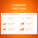 Pumpkin Powder for Dogs & Cats – NZ Natural Digestive & Fibre Support