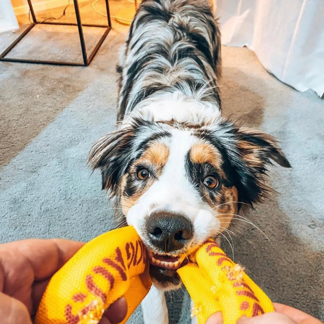 Aussie Dog Pull It Small