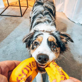 Aussie Dog Pull It Small