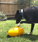 Aussie Dog Footy Feeder