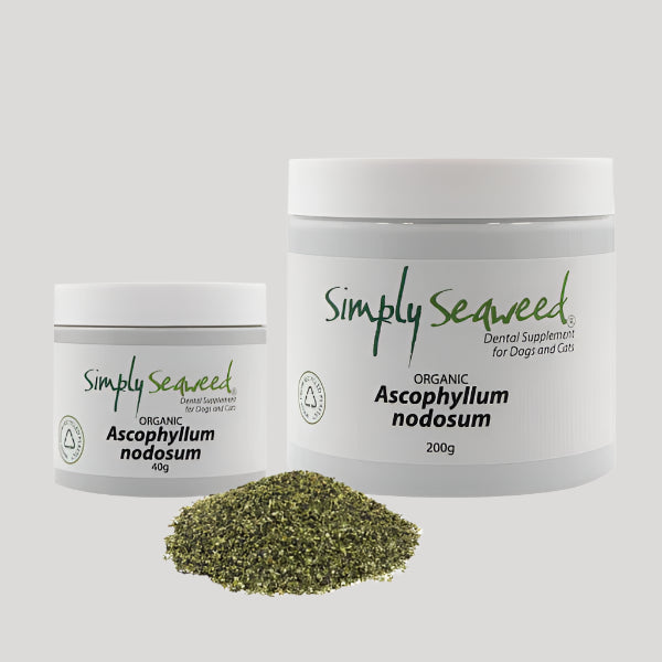 Simply Seaweed Dental Supplement