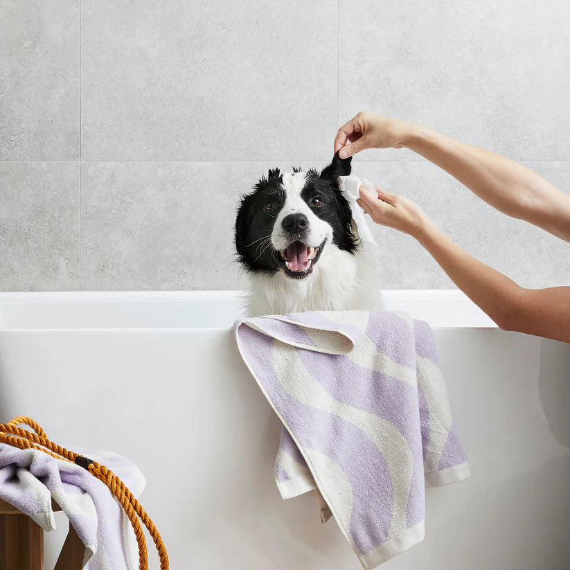 Squeaky - Probiotic Ear Wipes 20 pack