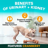 PetzPark Urinary & Kidney for Dogs