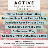 PetzPark Urinary & Kidney for Cats