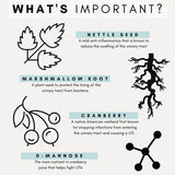 PetzPark Urinary & Kidney for Cats