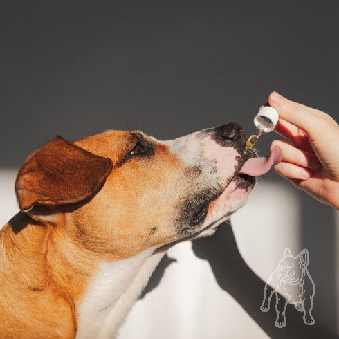 Essential Dog Raw Hemp Seed Oil Food Supplement for Dogs