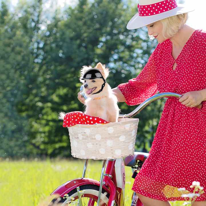 Black Pet Safety Helmet – Size Small