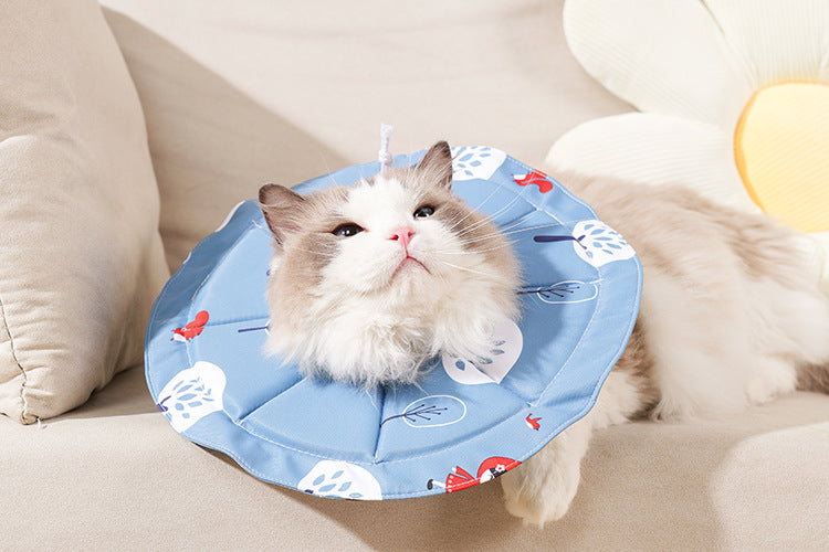 2 Pcs Size L Blue Comfortable Pet Recovery Collar