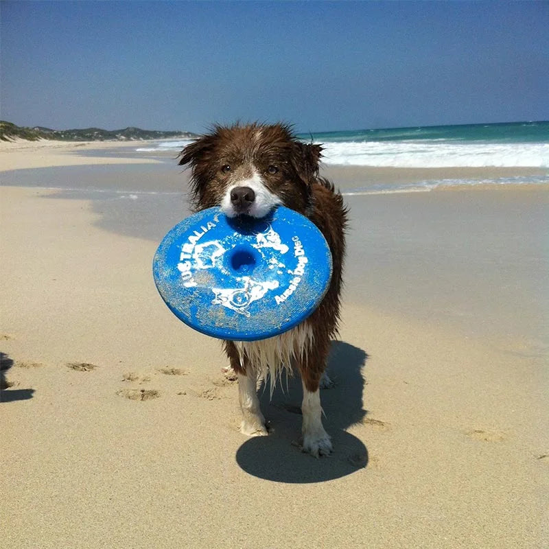 Aussie Dog Fly It Blue