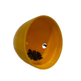 Aussie Dog Footy Feeder