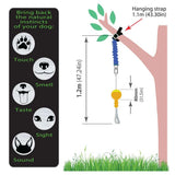 Aussie Dog Home Alone Mini