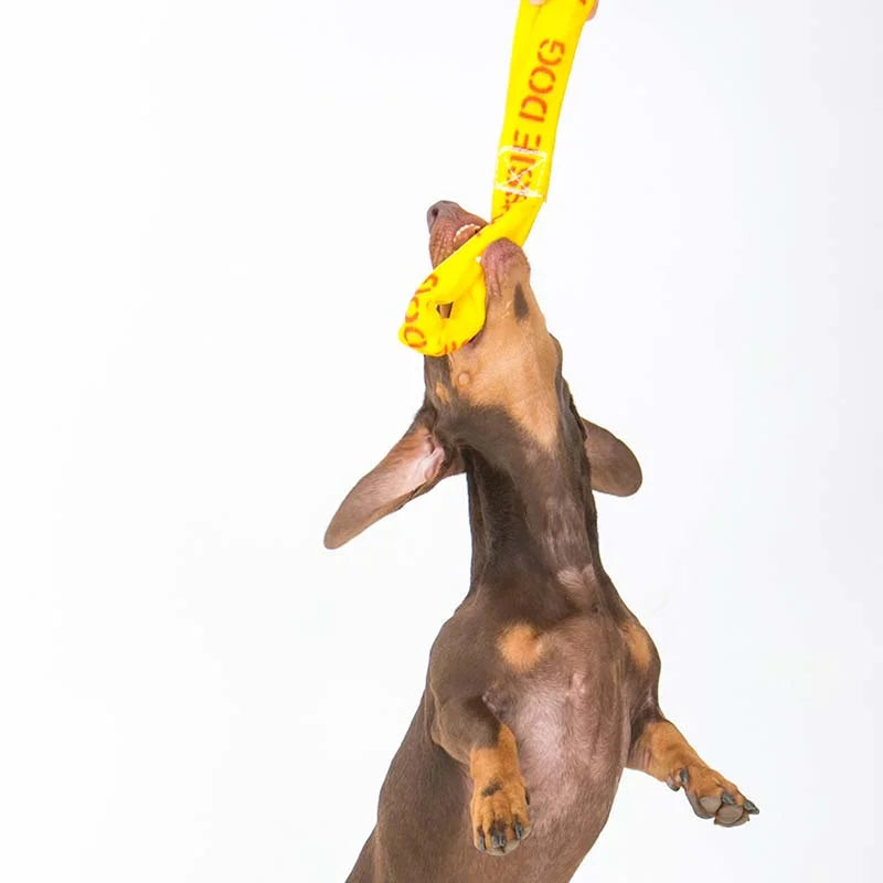 Aussie Dog Pull It Small