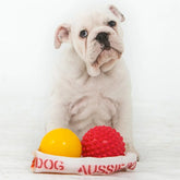 Aussie Dog Puppy Pack Medium