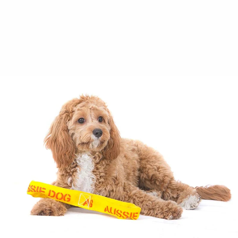 Aussie Dog Puppy Pack Mini