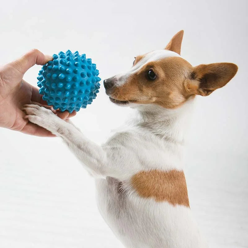 Aussie Dog Puppy Pack Mini
