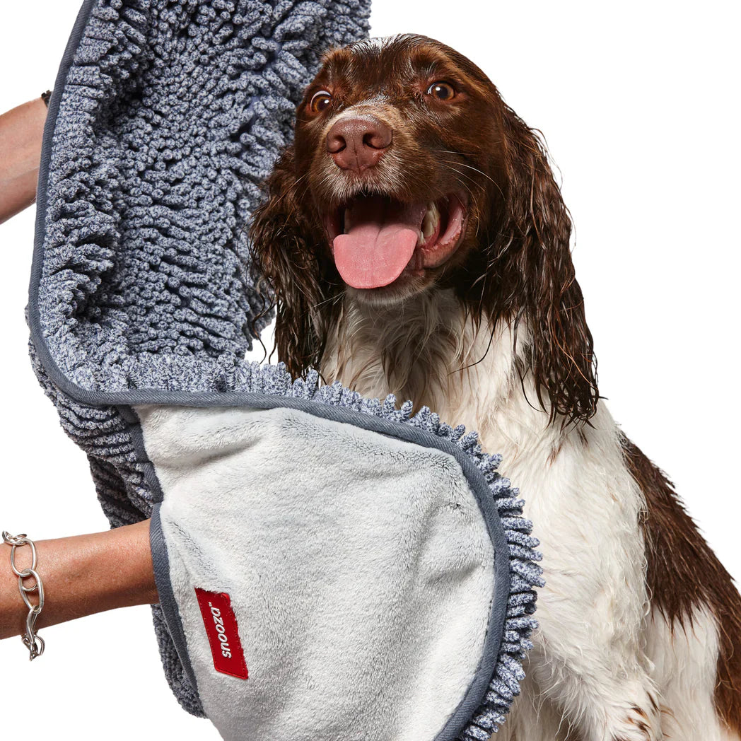 Is it Important for Your Pet to Have Good Hygiene?  A Comprehensive Guide