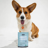 PetzPark Urinary & Kidney for Dogs