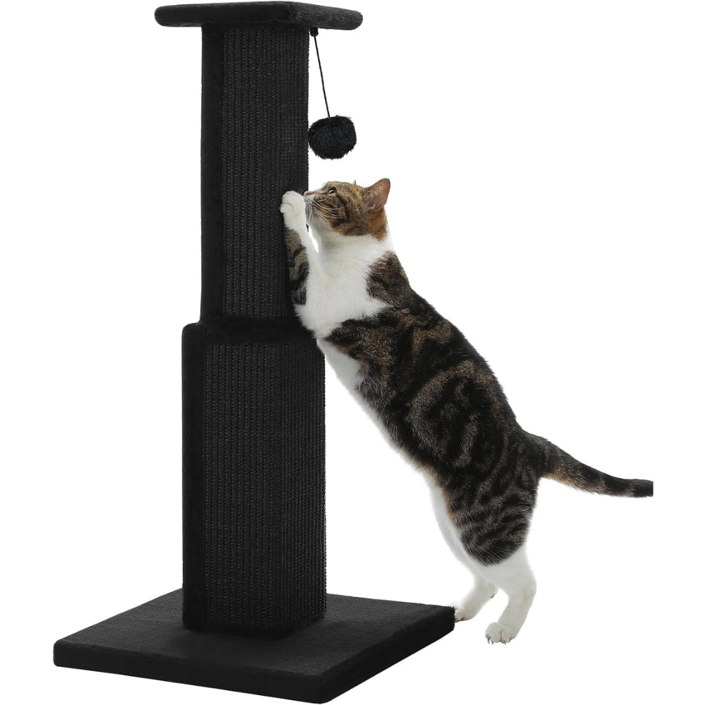 80CM Scratching Post for Indoor with Nature Sisal Ball