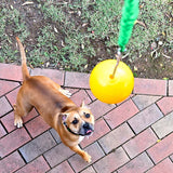 Aussie Dog Home Alone Medium – Interactive Bungee Dog Toy