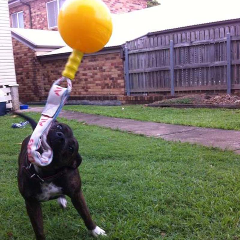 Aussie Dog Home Alone XL – Interactive Bungee Dog Toy
