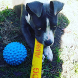 Aussie Dog Get‑It Small – Durable Floating Fetch Toy