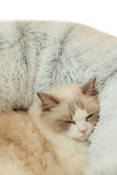 Grey Luxury Plush Cat Bed with Hidden Tunnel