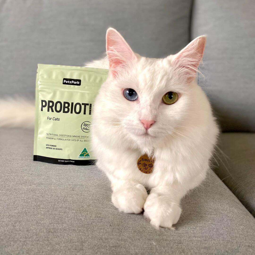 PetzPark Probiotic for Cats