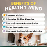 PetzPark Brain Support For Dogs