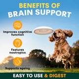 PetzPark Brain Support For Dogs