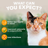 PetzPark Eye Support for Cats