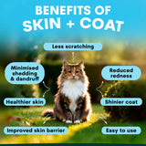 PetzPark Skin & Coat for Cats