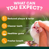 PetzPark Toothpaste for Cats