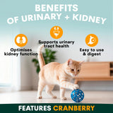 PetzPark Urinary & Kidney for Cats