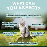 PetzPark Urinary & Kidney for Cats